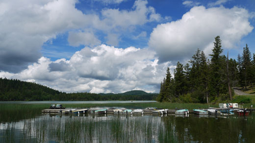 Roche Lake Resort: fly fishing near Kamloops, BC Canada